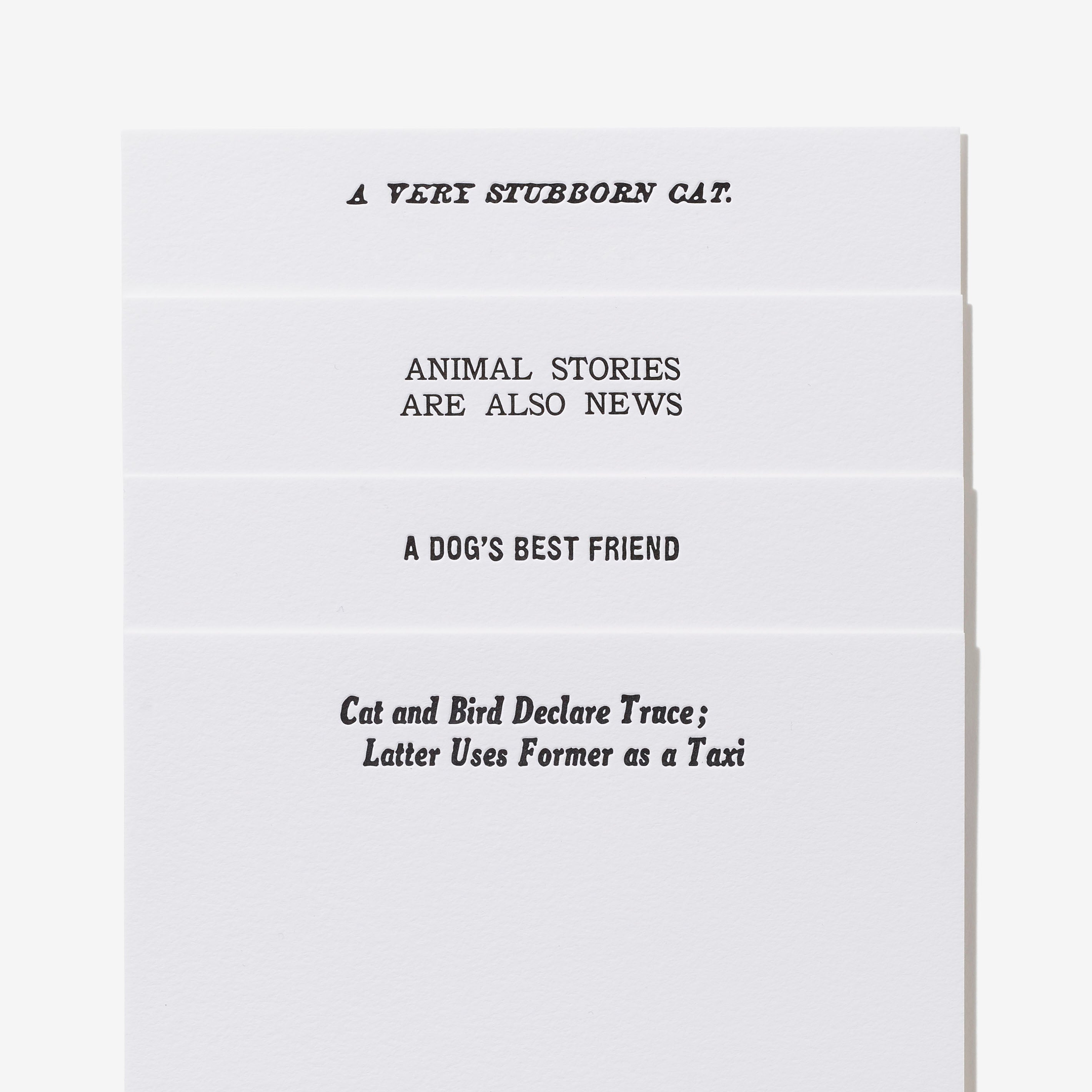 Pets of The Times Notecards - Set of 8 Blank Greeting Cards for Pet Lovers | Perfect for Thank You Notes, Birthday Cards & Special Occasions