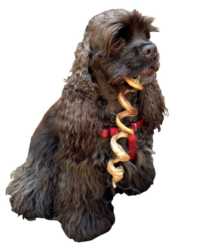 Premium HDP Dental Floss Chew Toys for Dogs - 4-6