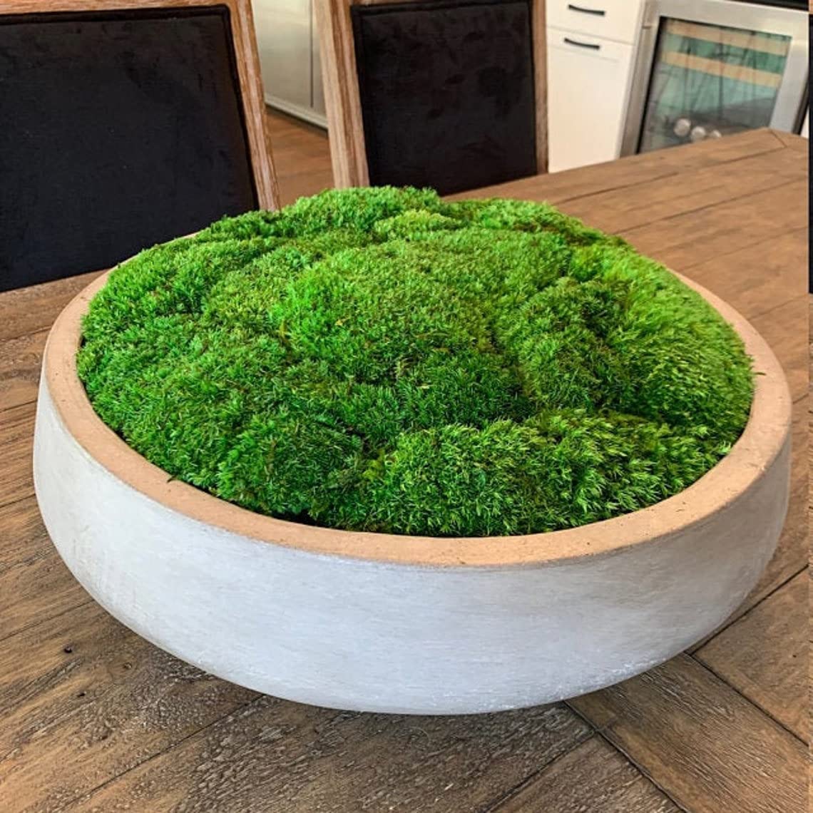Preserved Pole Moss Pillow Bun Cushion - 4.5 sq.ft Natural Green Moss for DIY Terrariums, Gardening, Wall Decor, Florist Arrangements, Easter & Wedding Table Decor - Perfect for Home, Office & Event Decoration