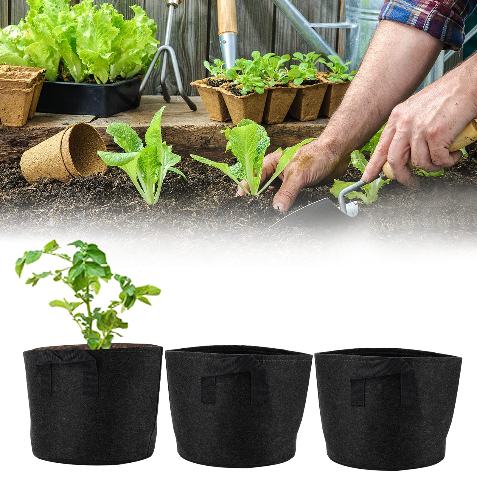 BTIHCEUOT 3 Gallon Grow Bags - Lightweight Plant Planter Pots for Garden, Balcony, Greenhouse & Outdoor Use (Black) | Perfect for Vegetables, Herbs, Flowers & Container Gardening