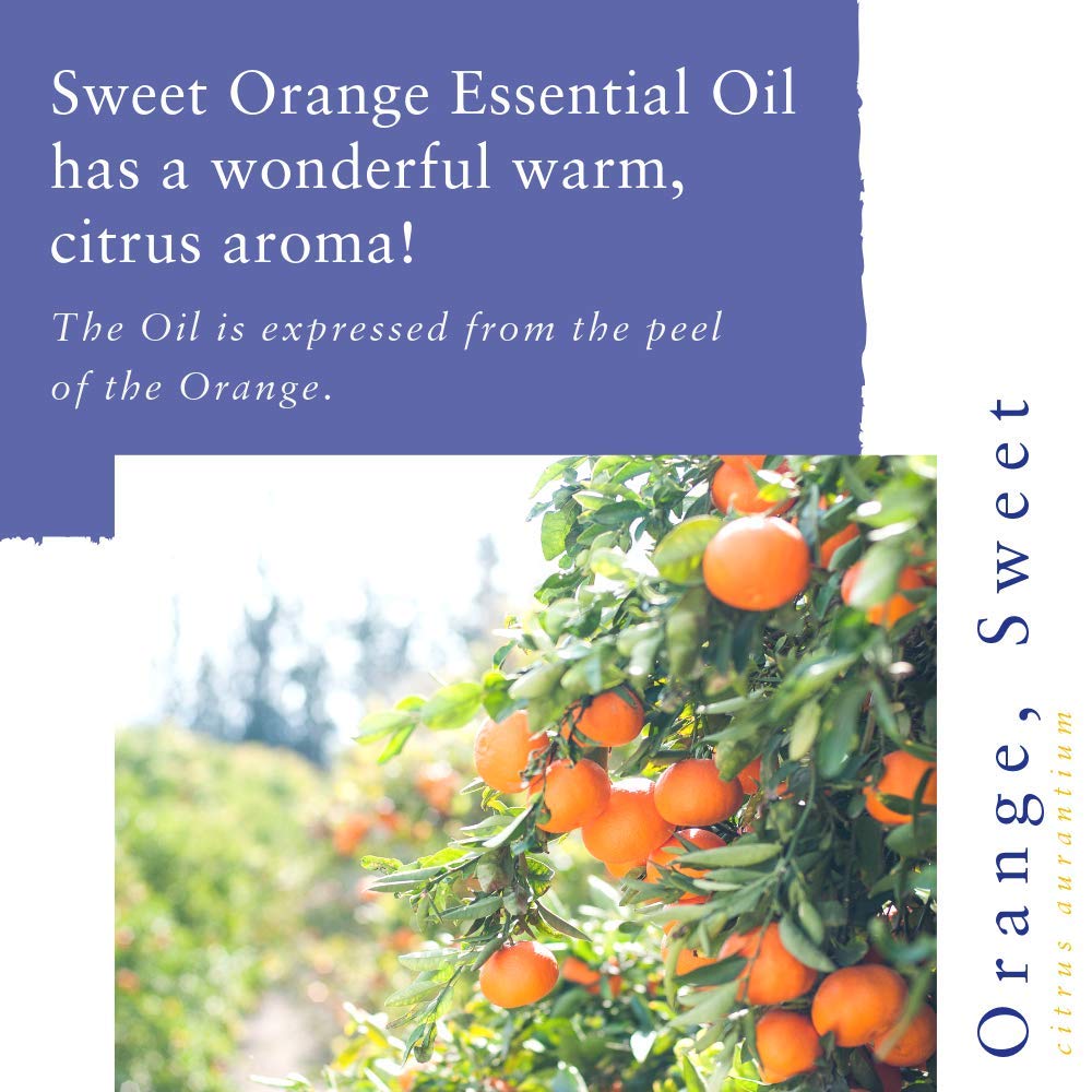 Pure Orange Sweet Essential Oil - 100% Natural, Cold-Pressed for Aromatherapy & Relaxation - Perfect for Diffusers, Massage & DIY Skincare