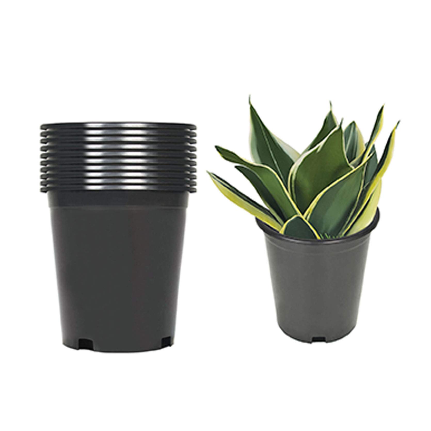 TINVHY 10-Pack 1 Gallon Premium Black Nursery Pots - Heavy Duty Plant Containers for Indoor/Outdoor Gardening, Flowers, Vegetables & Herbs - Ideal for Home Garden, Greenhouse & Landscaping