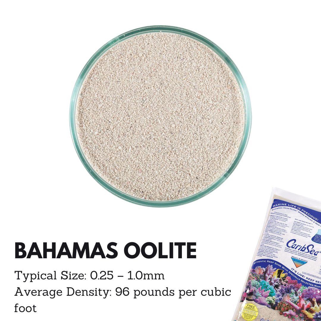Caribsea Aragalive Bahamas Oolite Live Sand - 10/20lbs for Saltwater Aquariums, Reef Tanks & Marine Fish Habitats - Natural Substrate for Healthy Coral Growth & Water Filtration