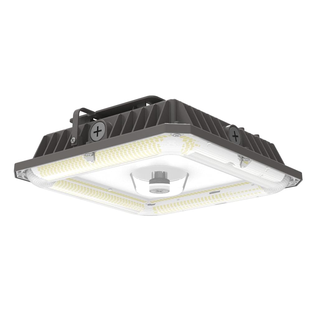 **LED Canopy Lights Outdoor - Selectable Wattage (100W/80W/60W) & CCT (5000K/4000K/3000K) - IP65 Waterproof - Ideal for Carport, Gas Station, Tunnel, Warehouse, Parking Lot & Shop Lighting (10x10 Coverage) - Perfect for Commercial & Industrial Use**