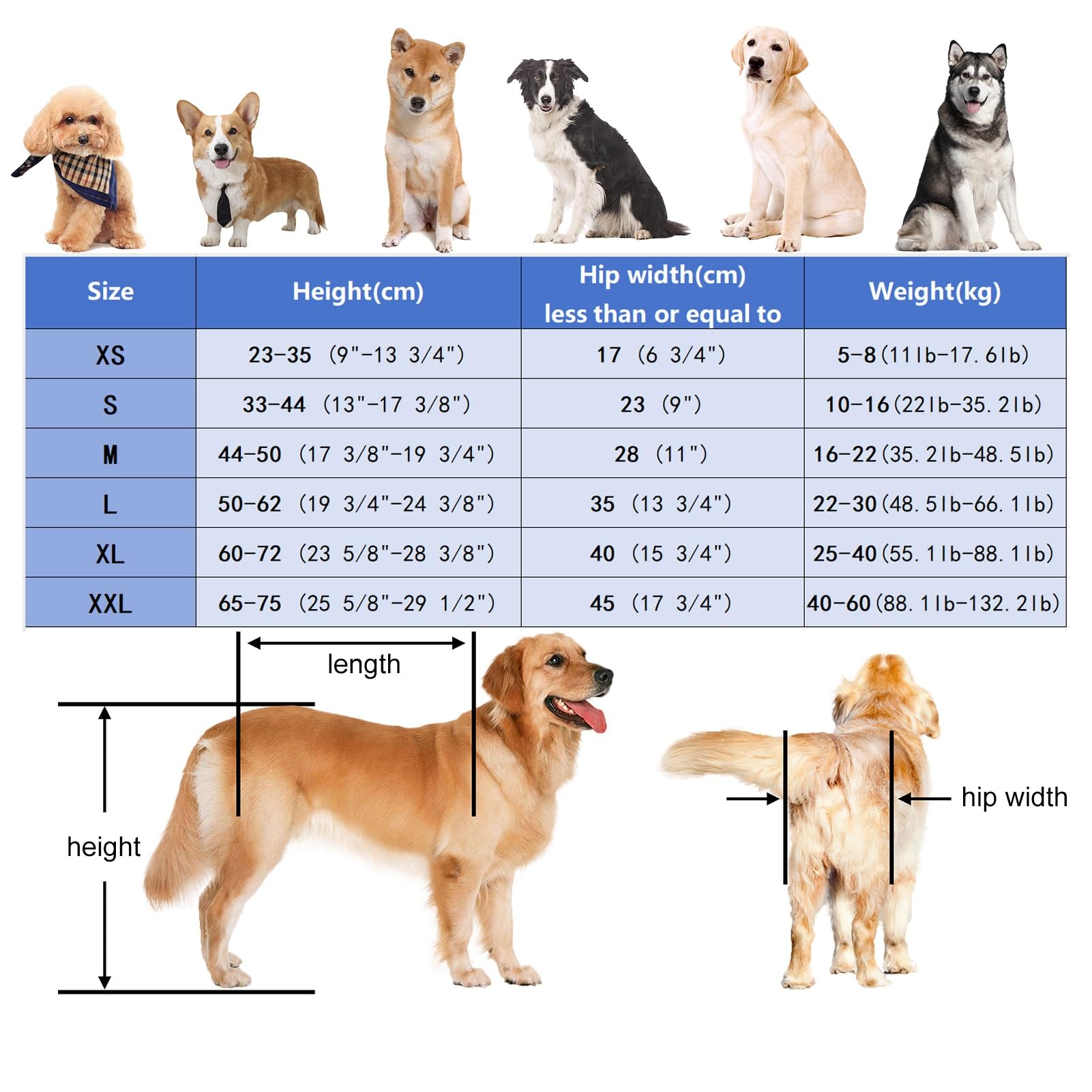 Adjustable Front Leg Dog Wheelchair - Mobility Aid for Small, Medium & Large Disabled Dogs | Supportive Pet Wheelchair for Walking & Daily Activities | Perfect for Injured, Elderly or Special Needs Dogs (X-Small)