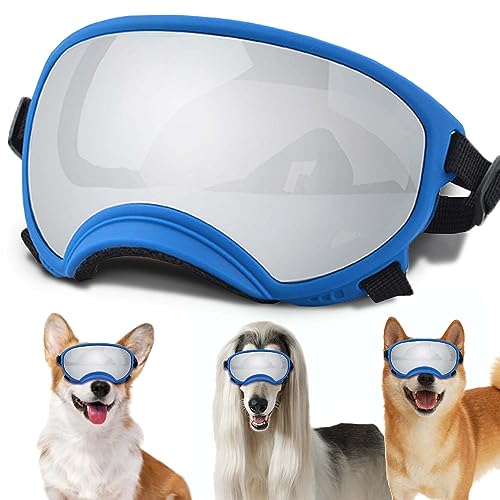Blue Frame& Silver Lens-Small