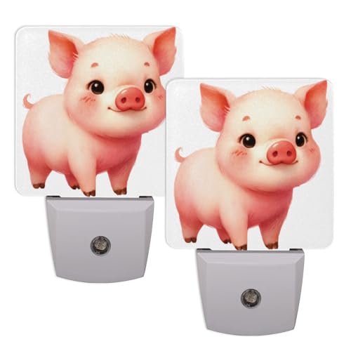 C:Cute Pig