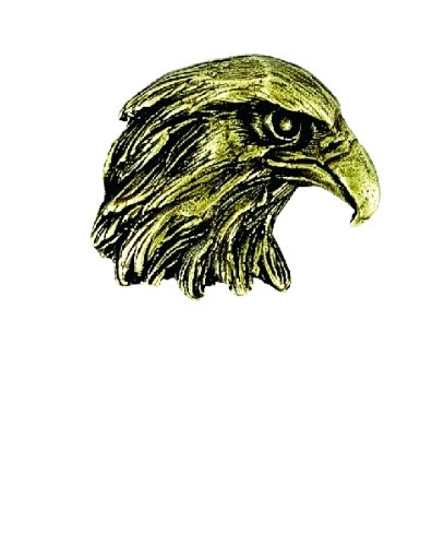 Varsity Jacket Eagle Lapel Pins - Antique Brass, Pack of 8 - Perfect for Sports Awards & Letterman Jackets