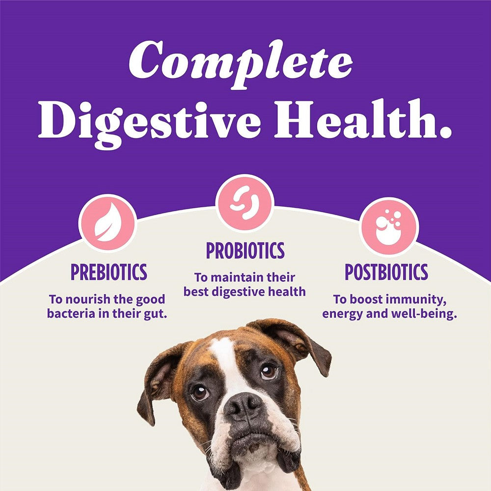 Premium Holistic Healthy Grains Dog Food with Wild Caught Salmon & Whitefish - High Protein Dry Kibble for Adult Dogs - Supports Skin, Coat & Joint Health - Ideal for Active & Sensitive Dogs