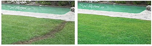 Hydro Mousse Bermuda Grass Seed - Large Refill Bag (1000 Sq Ft Coverage) - Fast-Growing Drought-Resistant Lawn Seed for Backyards, Golf Courses & Sports Fields