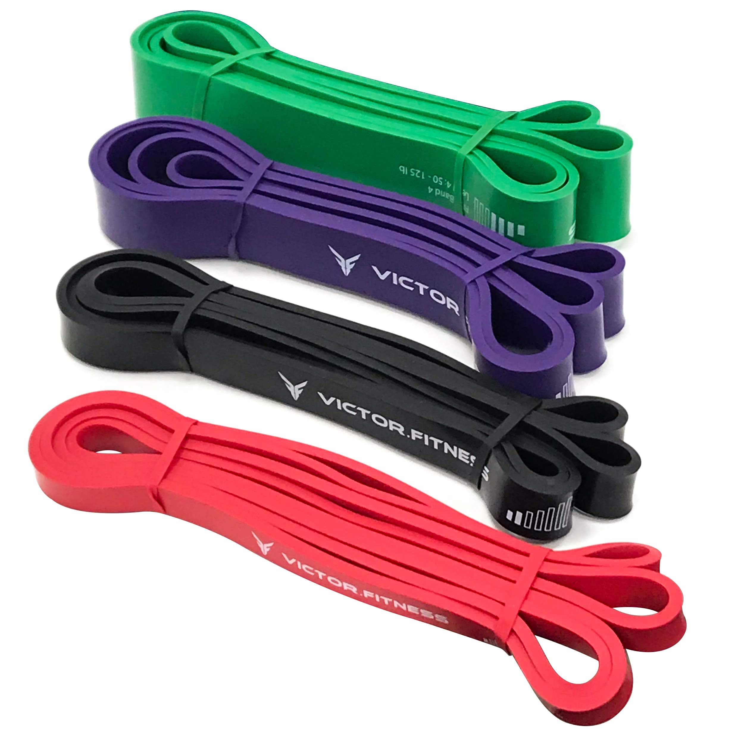 RISE Bands 1-4 (15-125lbs) Heavy-Duty Resistance Bands Set for Physical Therapy, Home Workouts, Strength Training, Muscle Building, Rehabilitation, and Mobility - Perfect for Gym, Yoga, Pilates, and Stretching Exercises