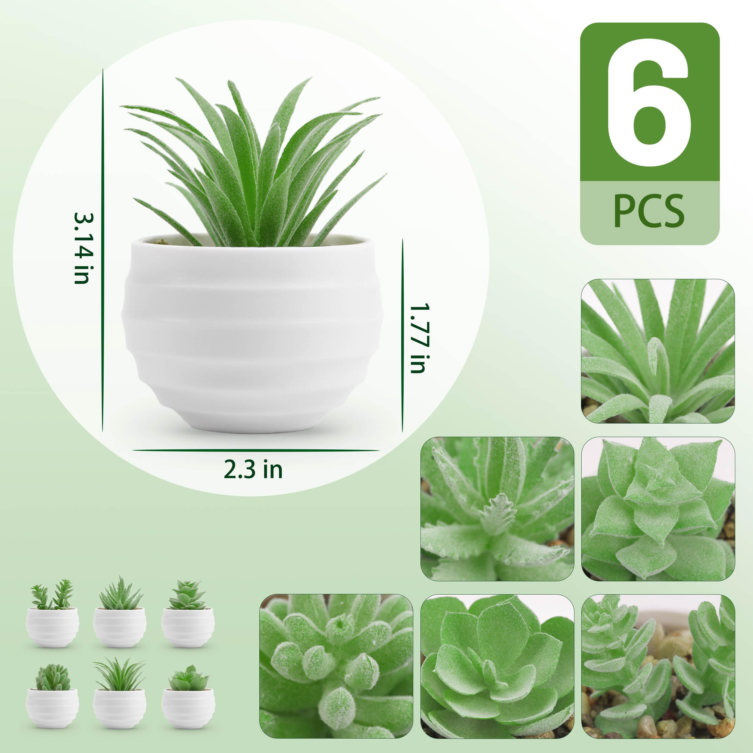 6 Pack Fake Succulents Plants - Realistic Artificial Small Succulents for Home & Room Decor - Perfect for Indoor Spaces, Office Desks, and Wedding Centerpieces