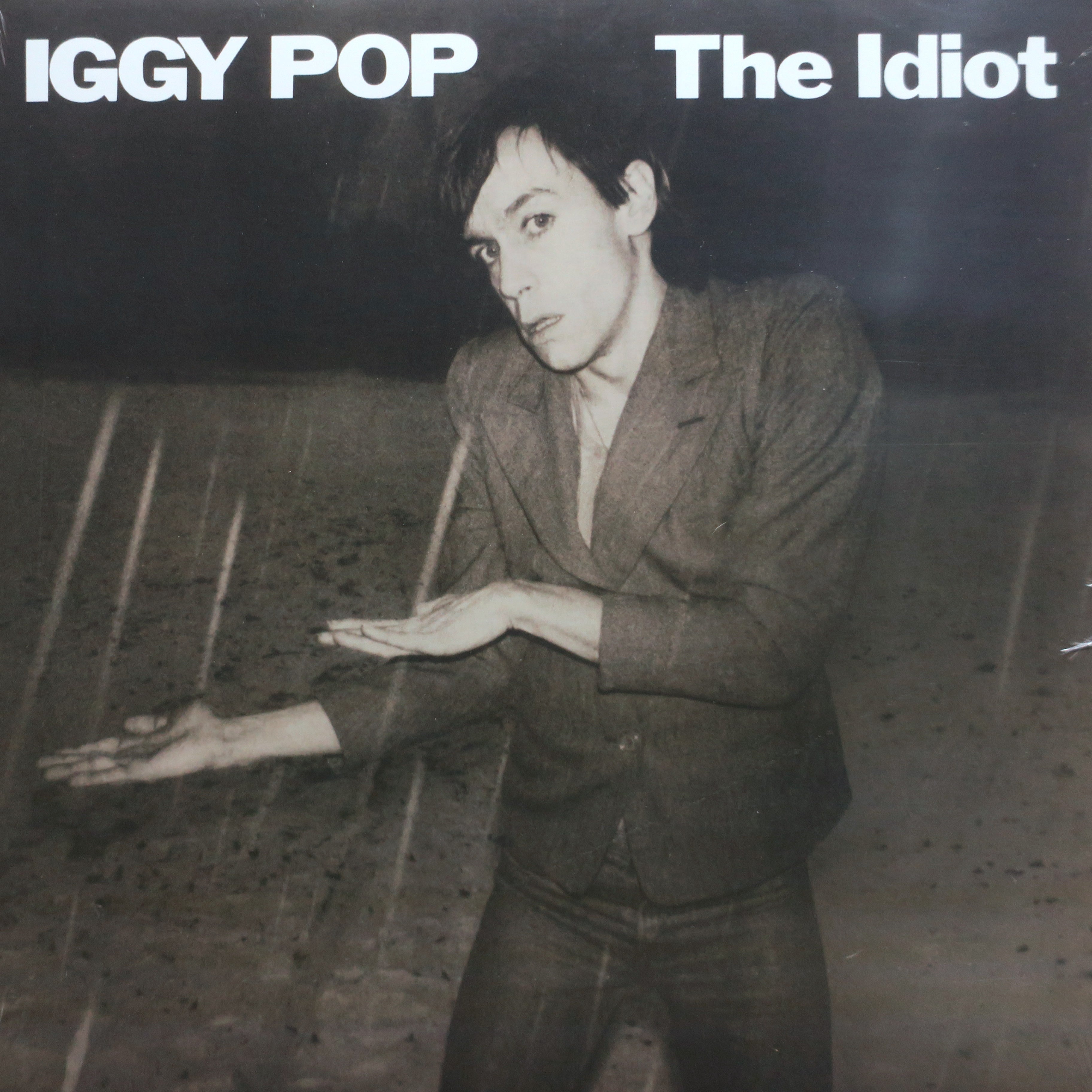 IGGY POP 'The Idiot' 180g Vinyl LP Record - Limited Edition High-Quality Audiophile Vinyl for Music Collectors & Home Listening