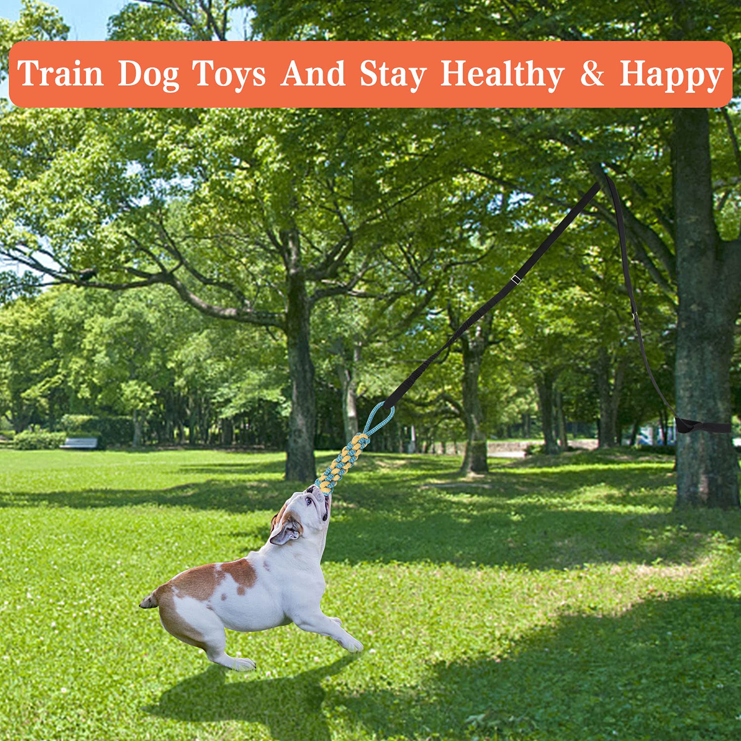 Durable Bungee Hanging Dog Toy for Outdoor Play - Interactive Tug of War Rope Chew Toy for Pitbull, Puppy & All Size Dogs (Small, Medium, Large) - Perfect for Backyard Exercise, Solo Play & Boredom Relief