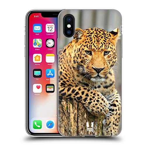 Leopard Portrait
