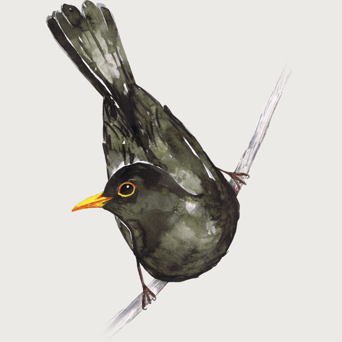 Design By Humans Junior's Blackbird Watercolor T-Shirt by Bwiselizzy | Artistic Graphic Tee for Teens | Perfect for Casual Wear, School & Street Style