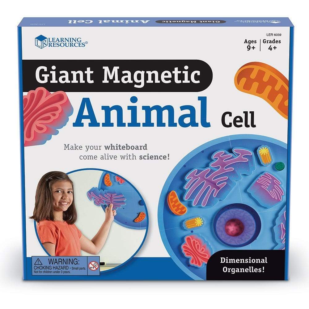 Giant Magnetic Animal Cell Model - 3D Science Biology Learning Tool for Classroom & Homeschool Education | Hands-on STEM Teaching Aid for Kids & Students