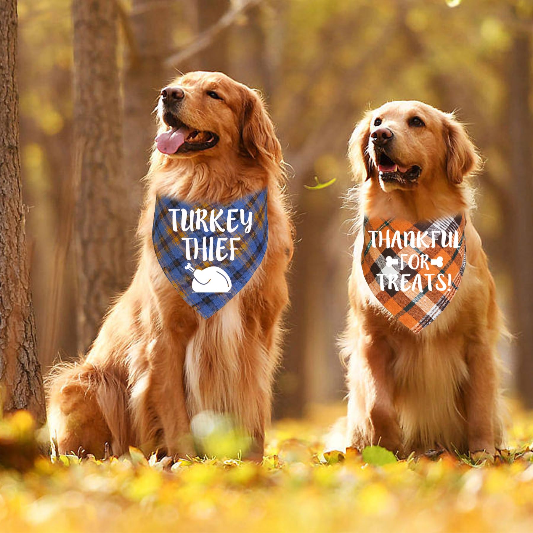3 Pack Thanksgiving Dog Bandanas for Small Medium Large Dogs - Fall Holiday Pet Bandanas with Adjustable Collar - Perfect for Thanksgiving, Halloween, Christmas & Family Gatherings