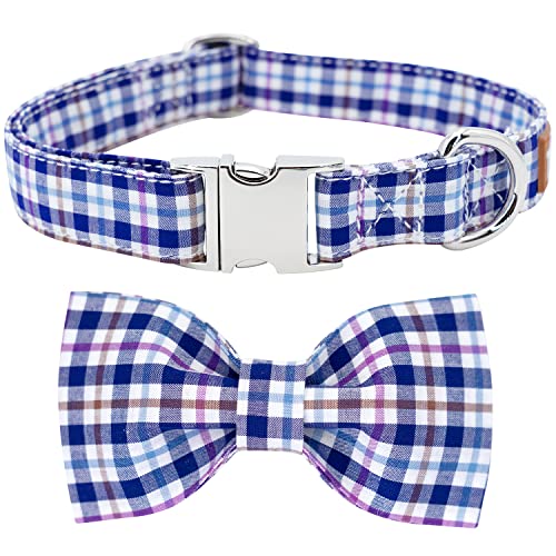 Bule Plaid Collar