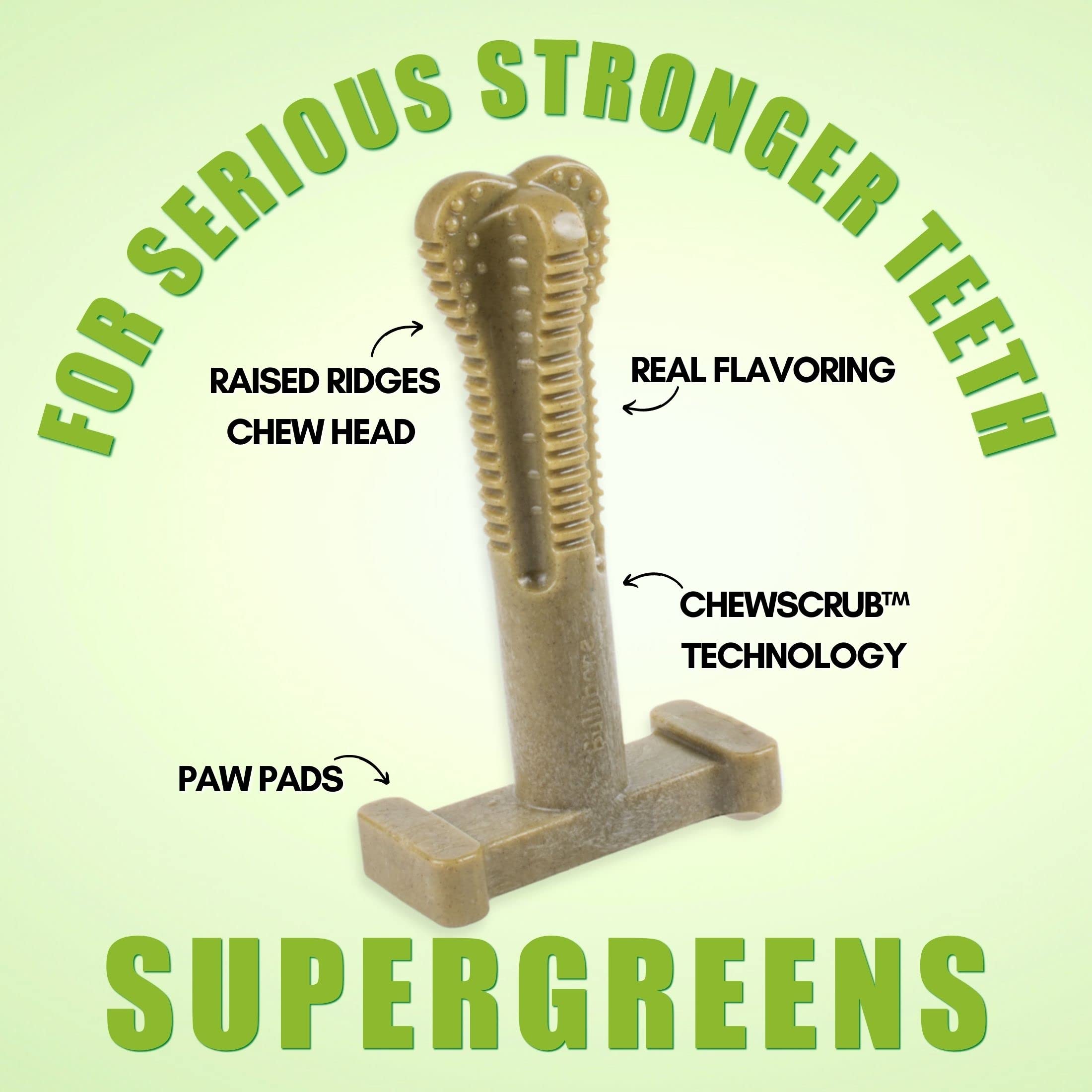 Bullibone SuperBrush: Long-Lasting Nylon Dog Toothbrush Chew Toy for Dental Health & Oral Care - Teeth Cleaning Stick with Super Greens for Puppies & Adult Dogs - Perfect for Daily Dental Hygiene & Playtime