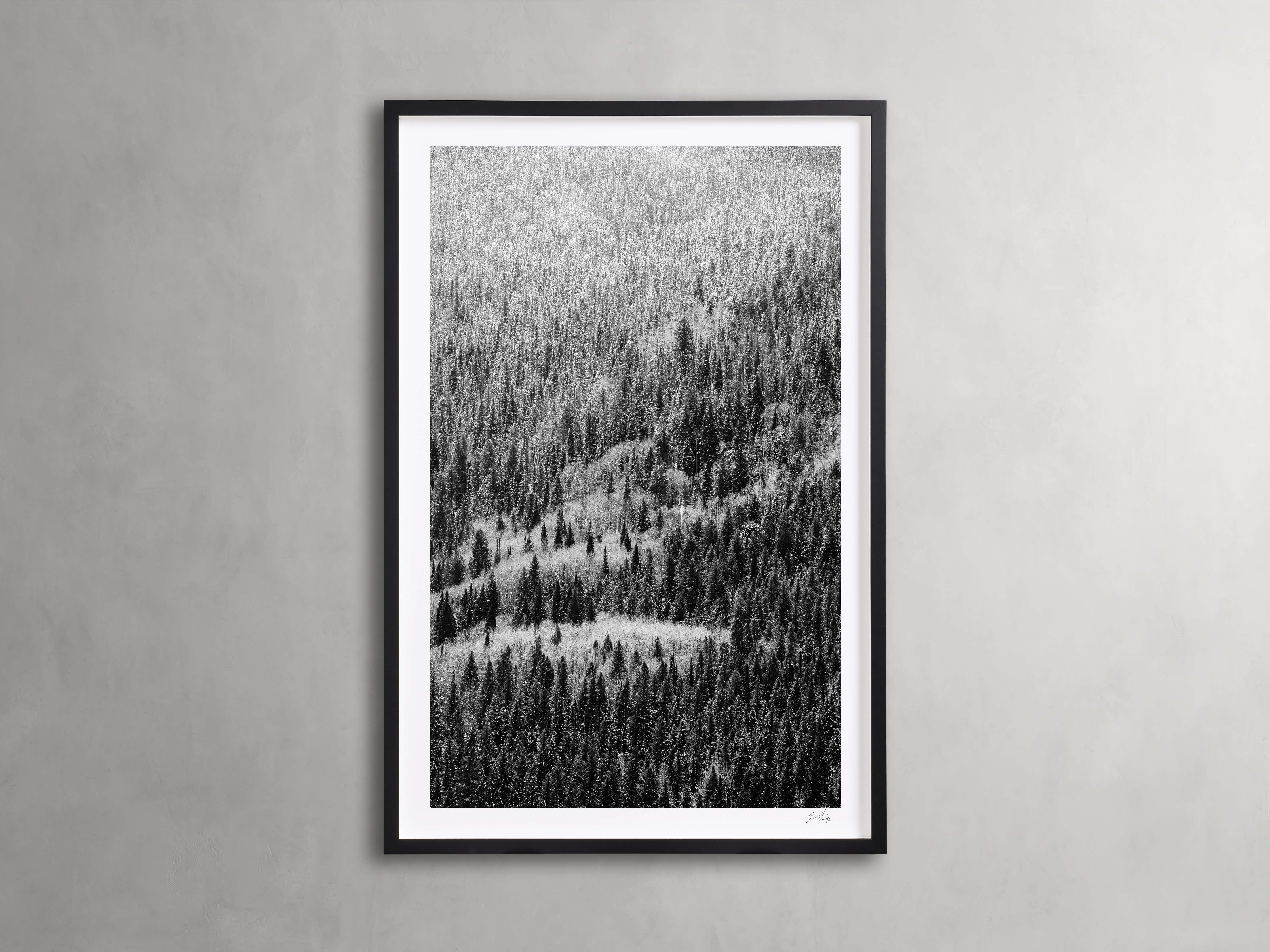 Aspen Allure II Framed Print - Nature Landscape Wall Art for Home & Office Decor - Perfect for Living Room, Bedroom, or Office Wall Decor
