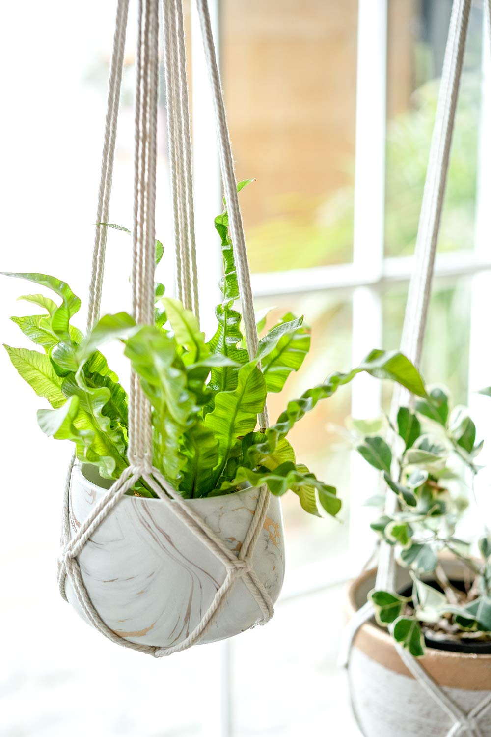 Dahey Macrame Plant Hanger Set of 3 with Hooks - Indoor/Outdoor Hanging Planter Basket (35