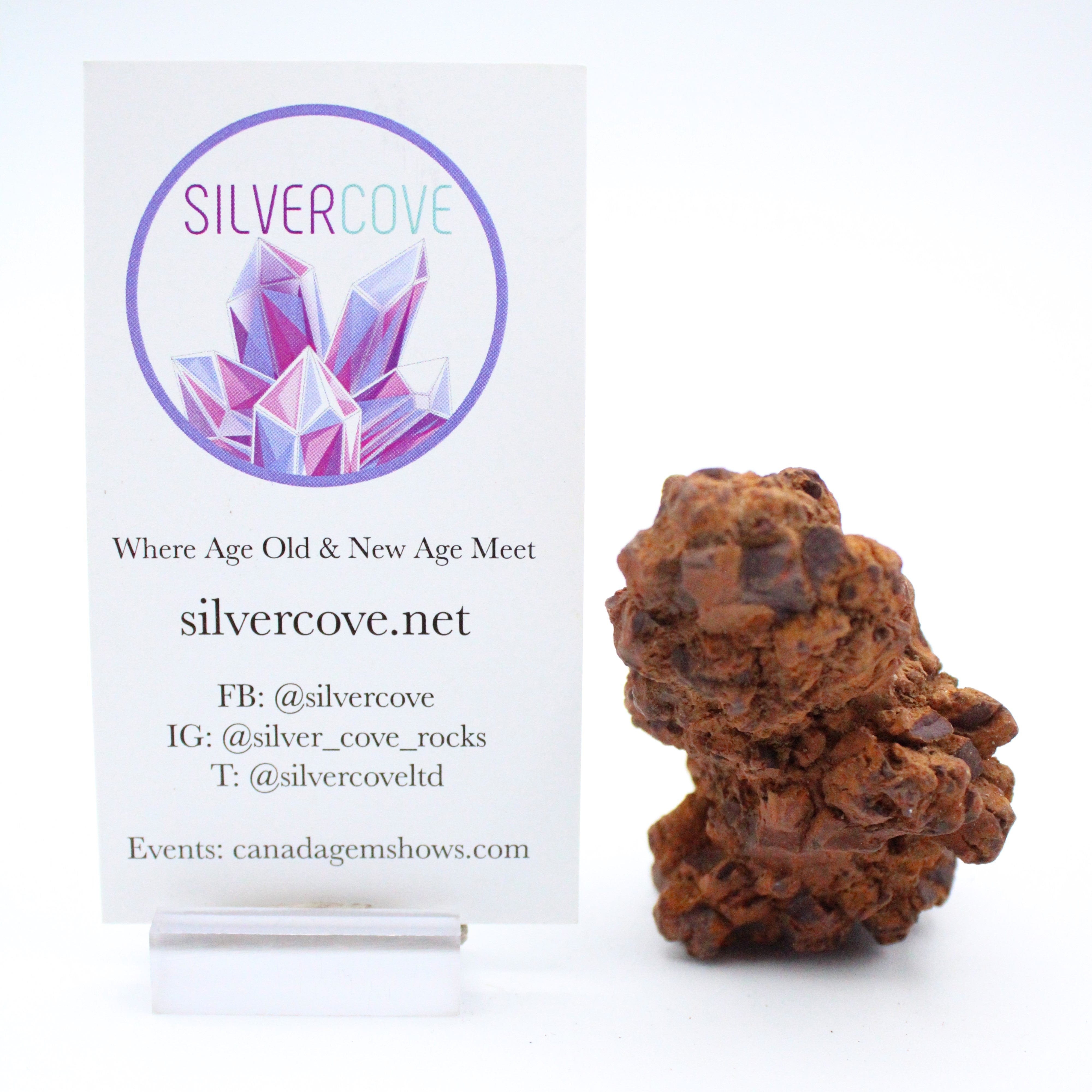 Authentic Coprolite Fossil Specimen - Dinosaur Poop Fossil for Collectors & Science Enthusiasts - Perfect for Educational Displays & Unique Home Decor