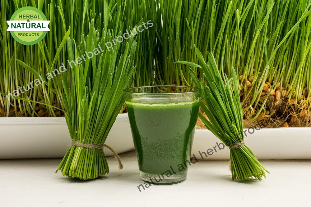 Organic Wheatgrass Powder for Weight Loss, Skin & Hair Care - 100g | Detox, Glowing Skin Mask, Immunity Booster | Smoothies, Juices & Wellness Drinks