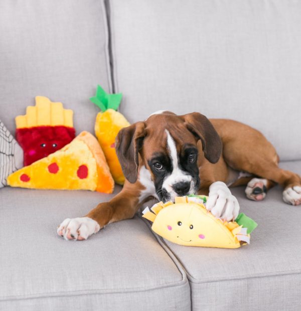 ZippyPaws NomNomz Plush Taco Dog Toy with Squeakers - Fun Interactive Chew Toy for Small & Medium Dogs - Perfect for Playtime, Training & Cuddling
