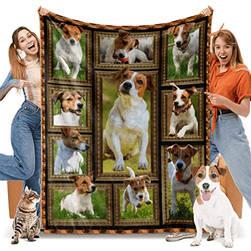 Jack Russell Terrier