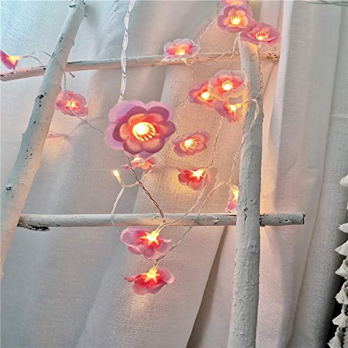 Aoile 2M LED Pink Rose Flower String Lights - Romantic Fairy Lights for Wedding, Valentine's Day, Birthday Party & Bedroom Decoration | Waterproof Outdoor/Indoor Fairy Lights for Garden, Patio, Christmas Tree (2 Meters)