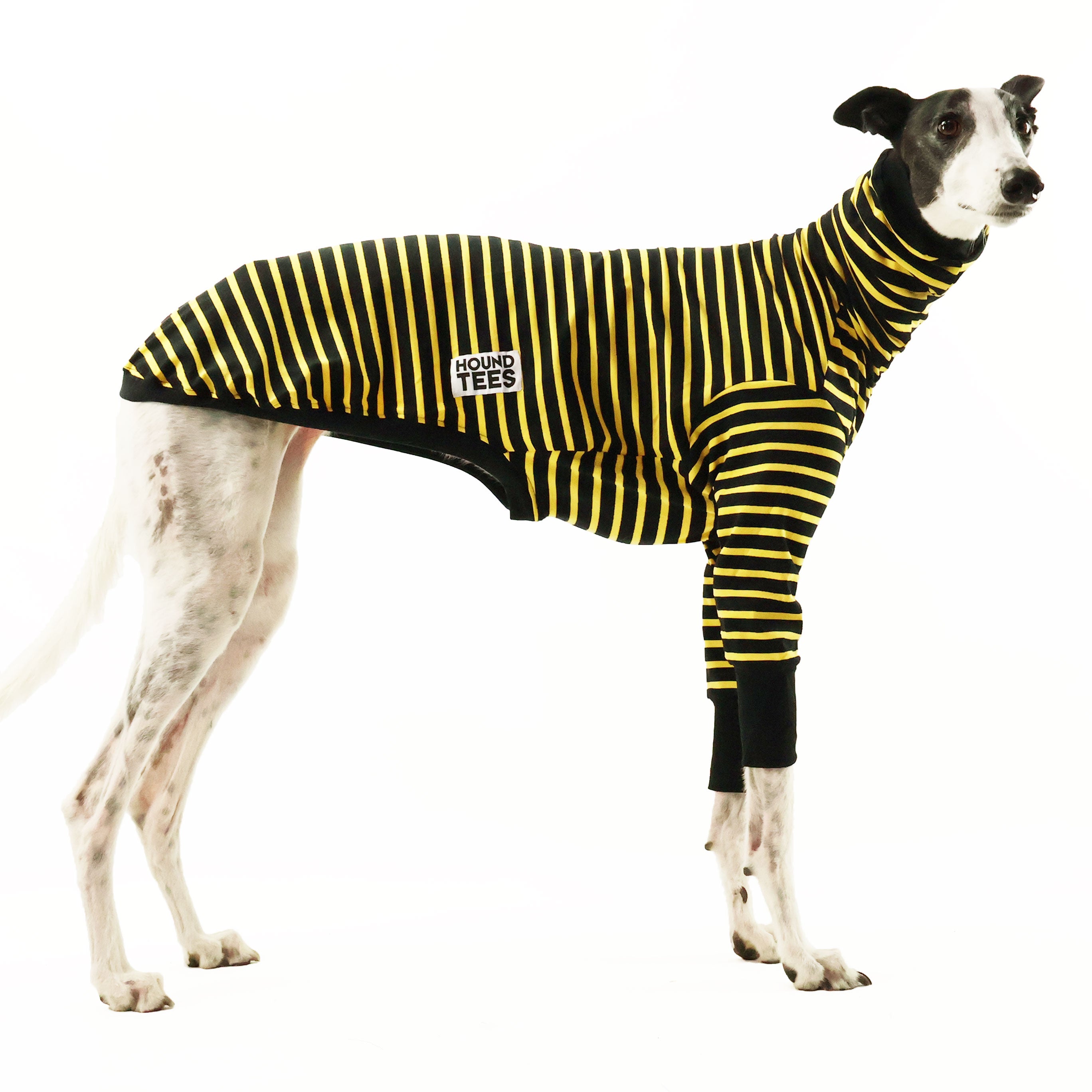 Bumble Greyhound Long Sleeve Hound T-Shirt - Comfortable Dog Lover Apparel for Casual Wear & Outdoor Activities