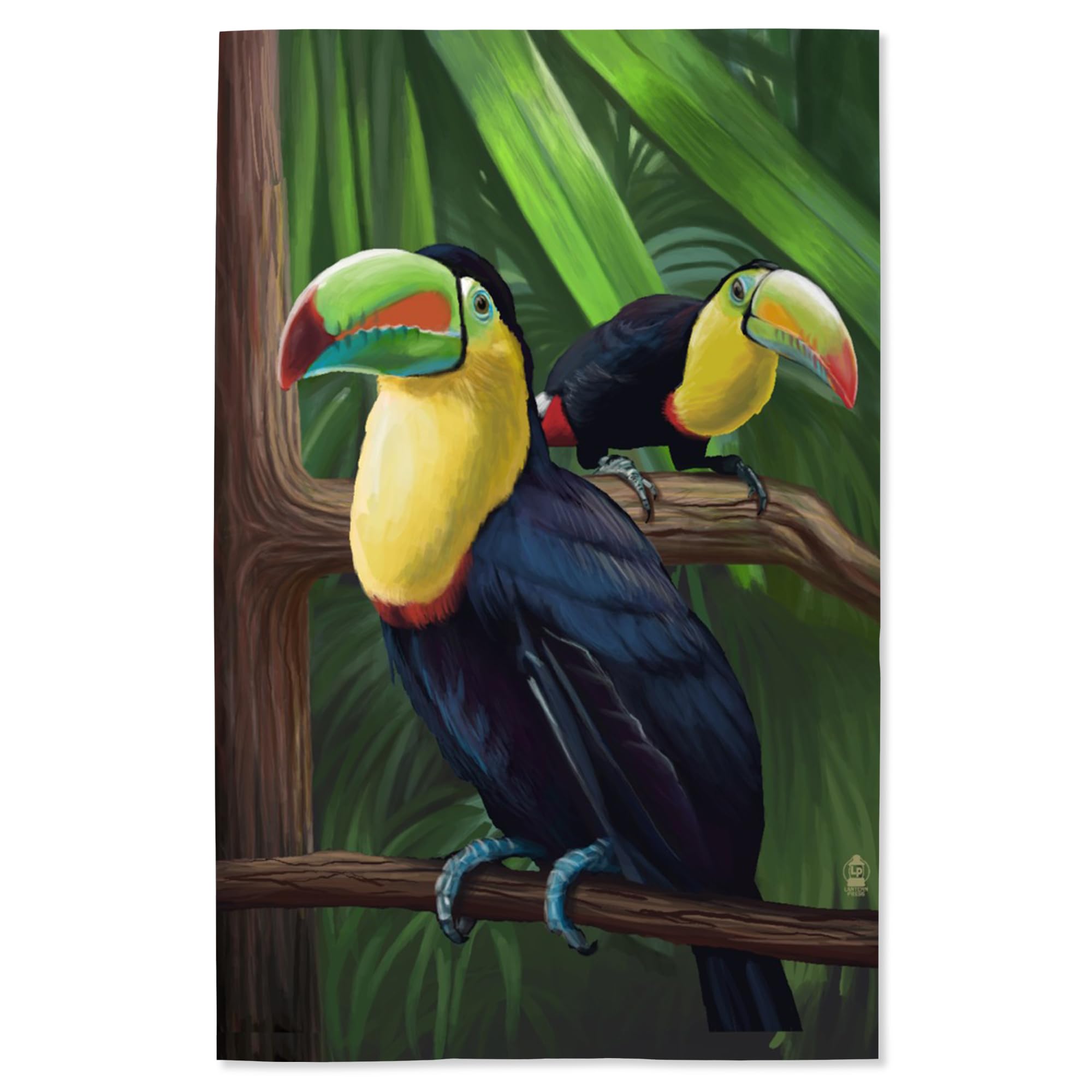 Lantern Press 16x24 Inch Giclee Print - Vibrant Toucan Bird Wall Art for Home & Office Decor | Perfect for Living Room, Bedroom or Tropical Themed Spaces