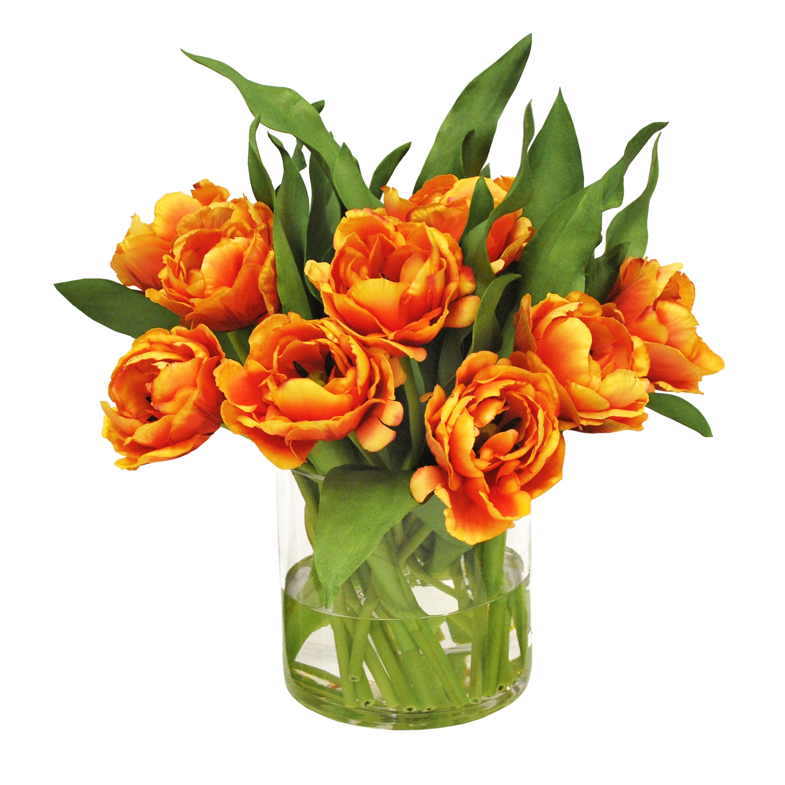 Double Tulip Vase - Elegant Glass Flower Vase for Fresh Cut Tulips, Perfect for Home Decor, Wedding Centerpieces, and Spring Table Arrangements