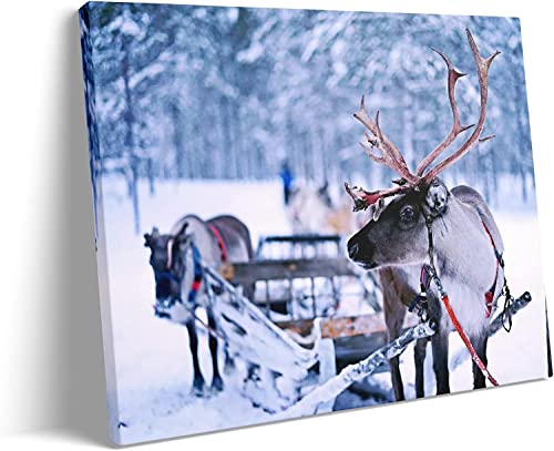 Deer snowmobile