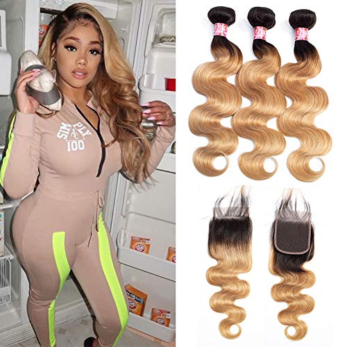 T1b/27 Hair