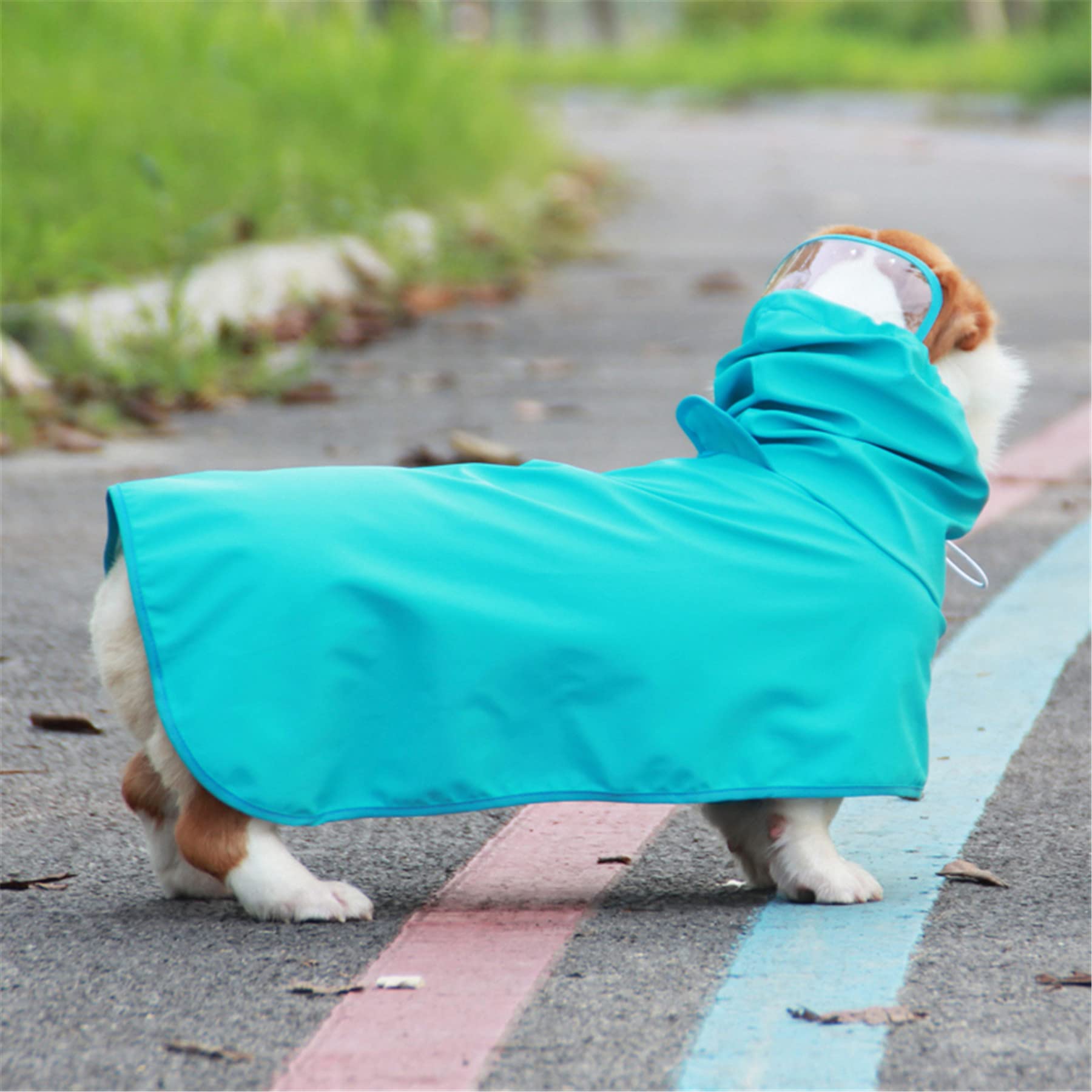 Avaner Waterproof Dog Raincoat with Hood & Leash Hole - Lightweight Poncho Jacket for Small, Medium & Large Dogs - Perfect for Walking, Hiking & Outdoor Adventures in Rainy Weather