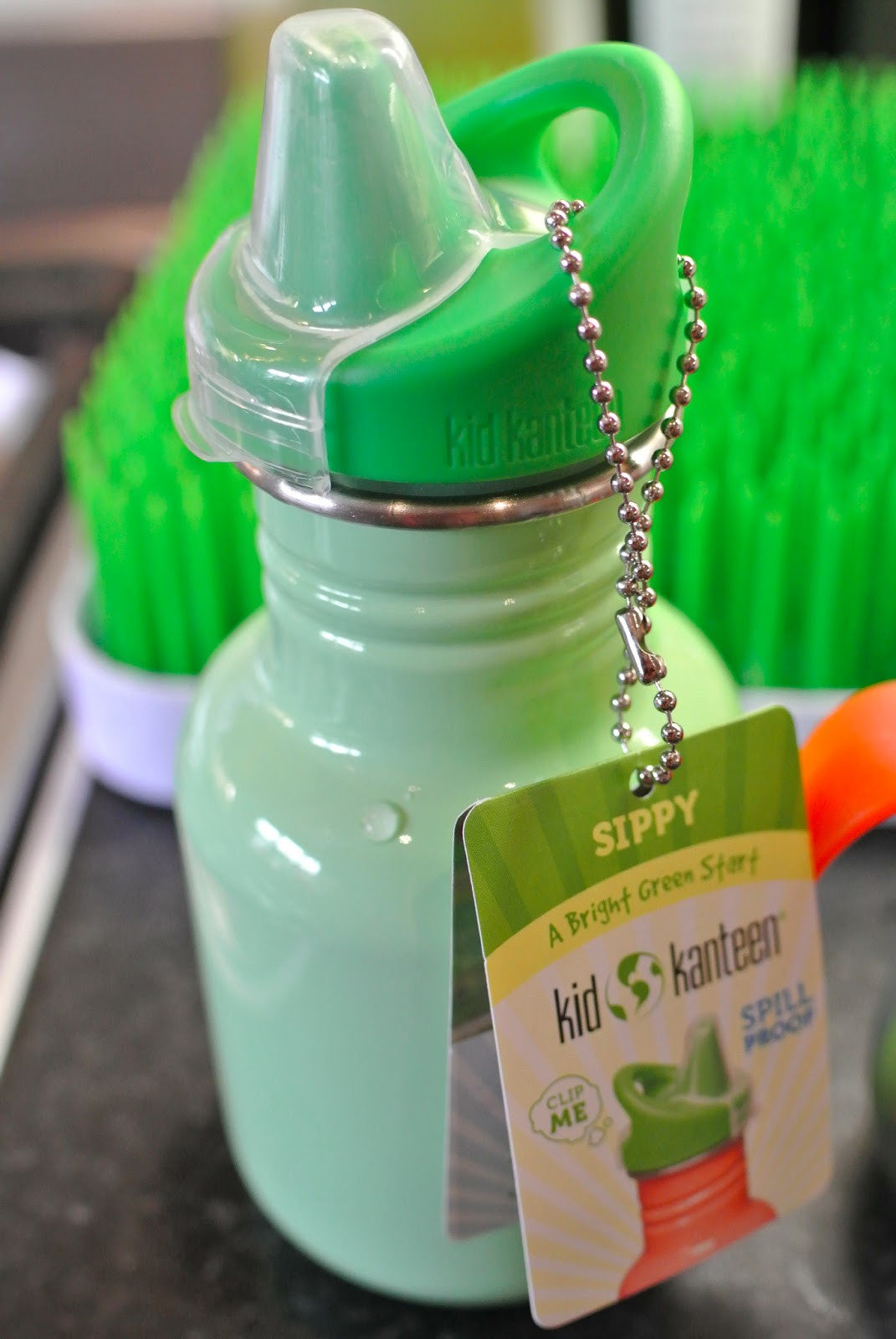 Kid Kanteen Sippy Cup - Leak-Proof Stainless Steel Toddler Drinking Cup with Handle & Spout Lid - Perfect for Daycare, Travel & On-the-Go Hydration