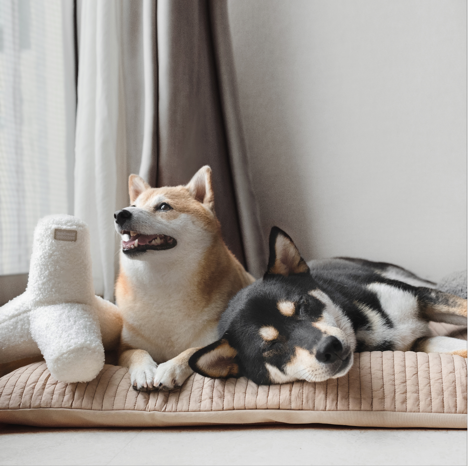 O Breuer - Premium Quality Products for Your Everyday Needs | Perfect for Home, Office & Gifting