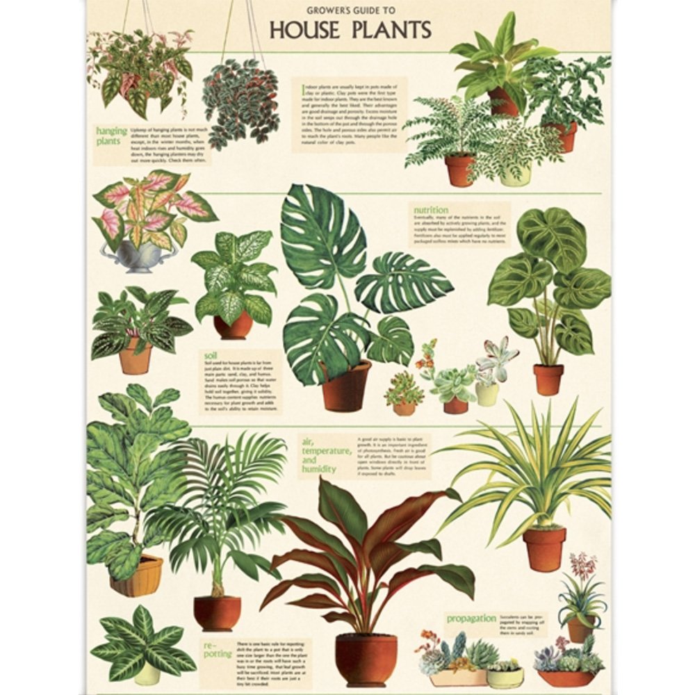 Premium Plant Wraps for Indoor House Plants - Perfect for Home Decor, Gifts & Plant Care Accessories