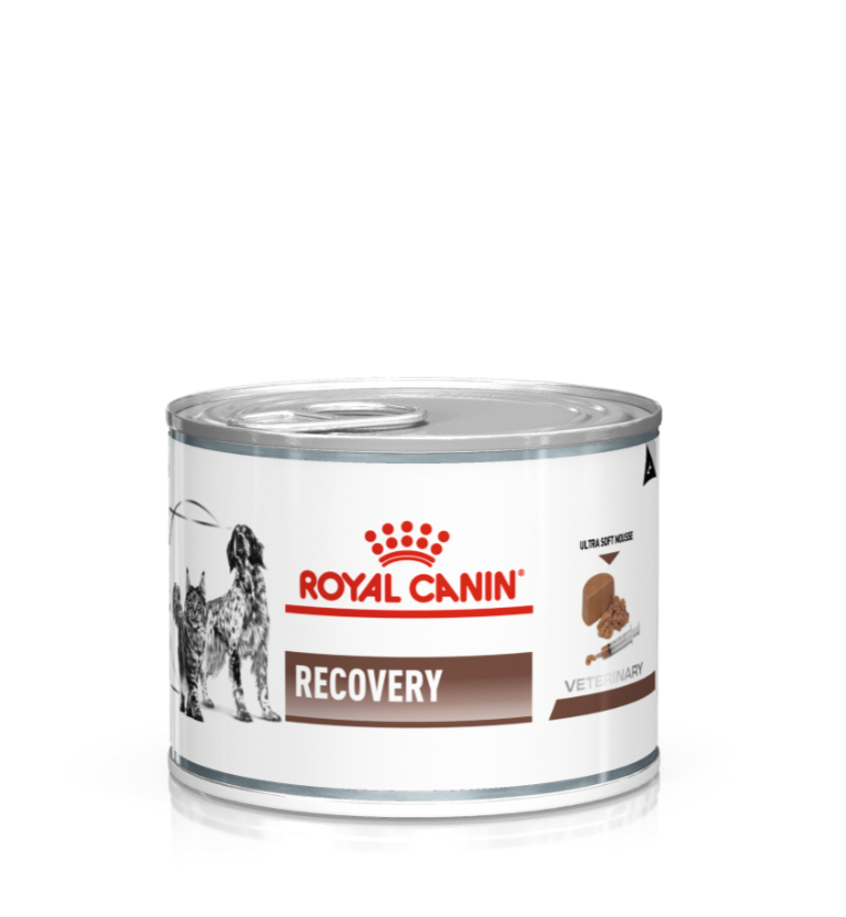 Royal Canin Recovery Wet Food for Dogs & Cats - High Protein Canned Food for Post-Surgery & Illness Recovery - Vet Recommended Nutrition for Pets