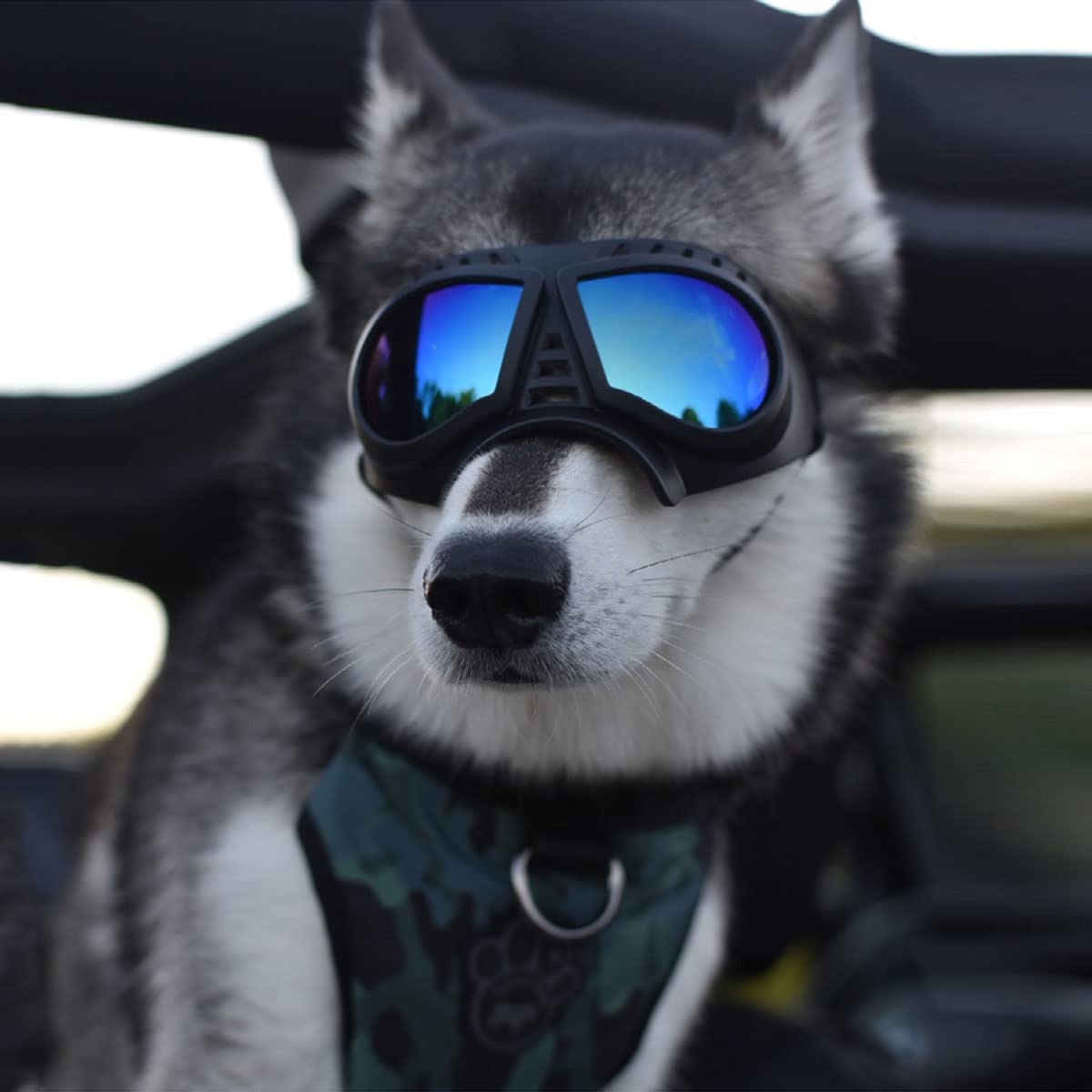 UV Protection Dog Sunglasses - Windproof Goggles for Small/Medium/Large Dogs - Blue Lens for Outdoor Adventures