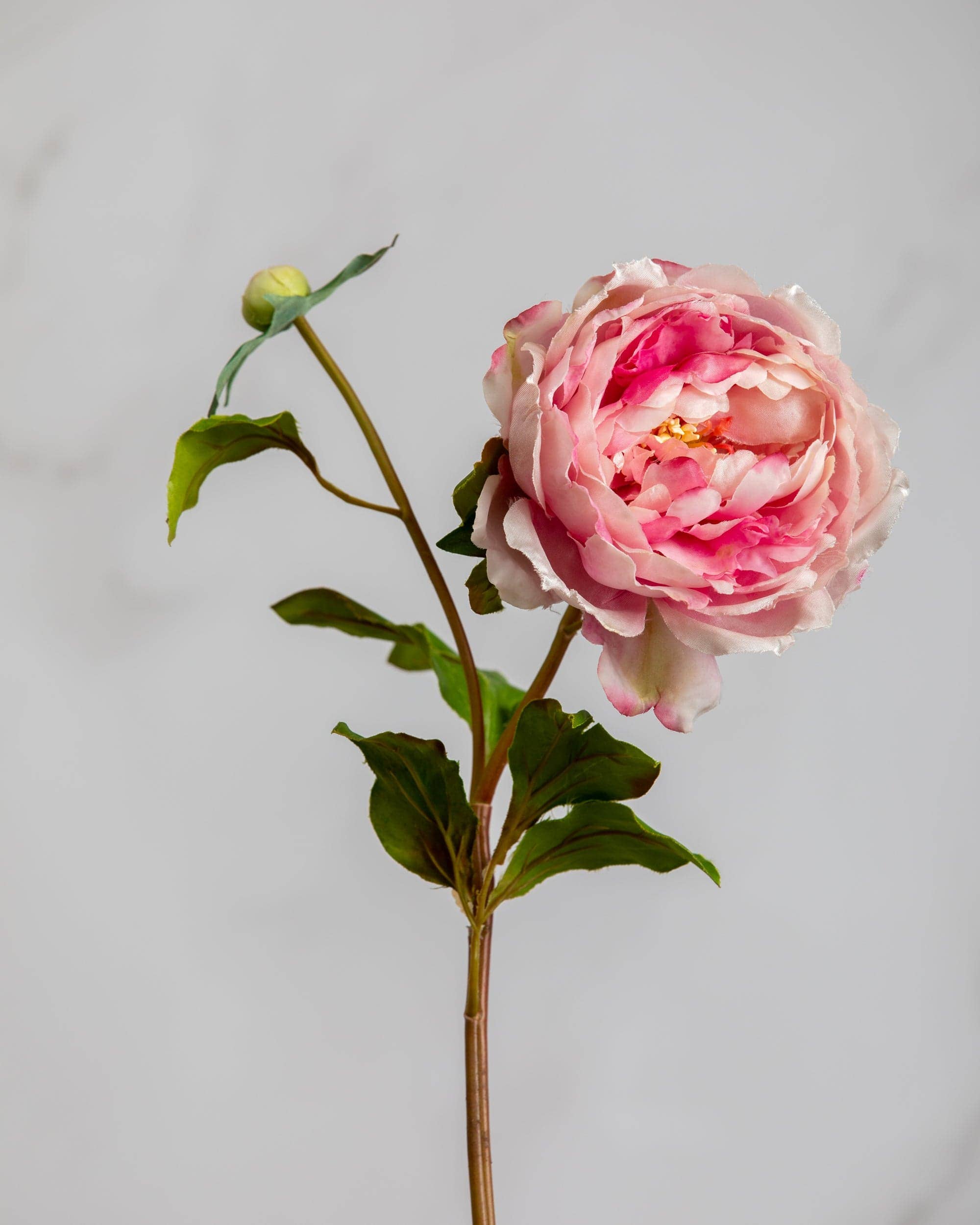 Artificial Pink Peony Flowers - 19.5