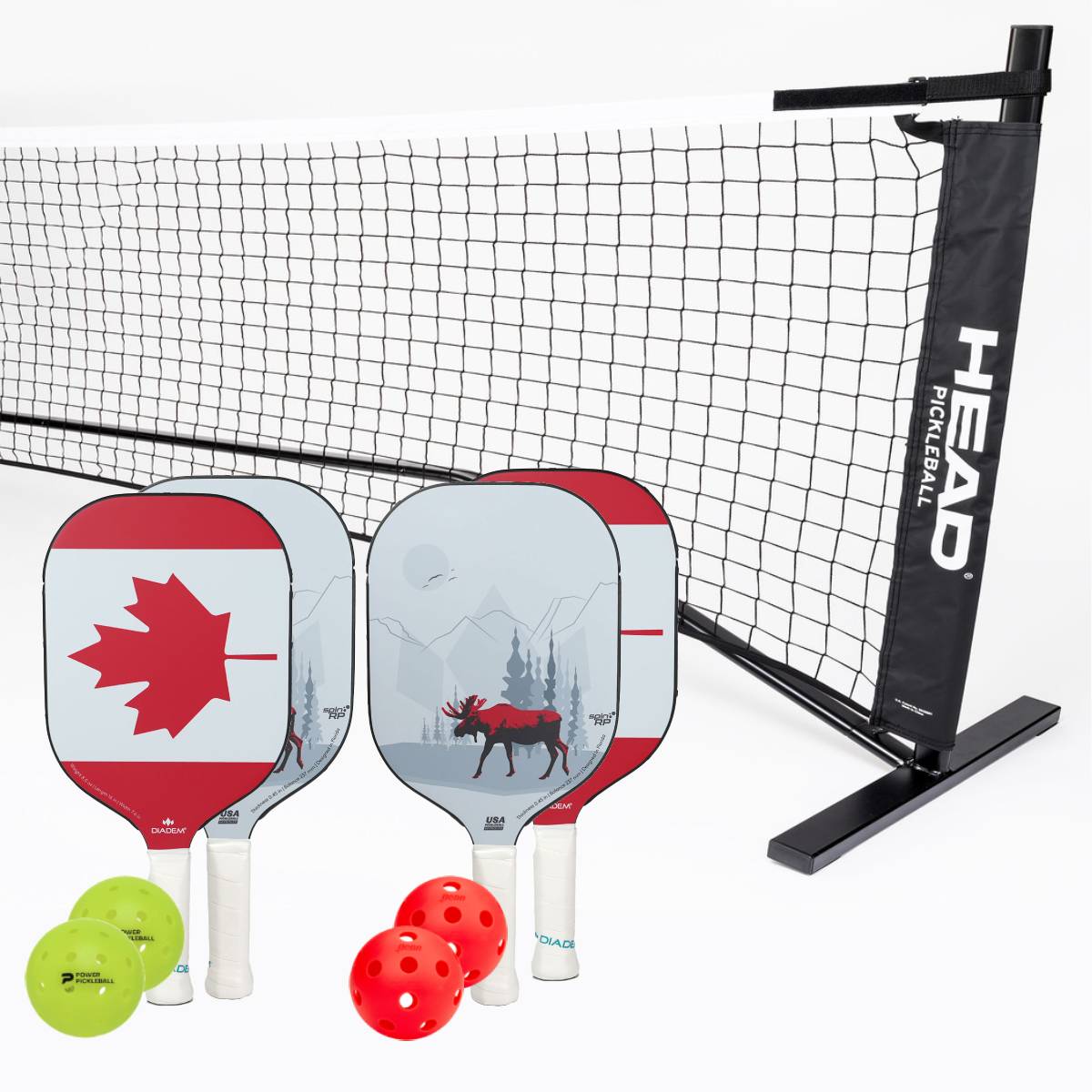 Diadem Icon V1 Pickleball Paddle Set - 4 Paddles + Net Bundle for Outdoor & Indoor Games - Perfect for Backyard, Beach, and Court Play