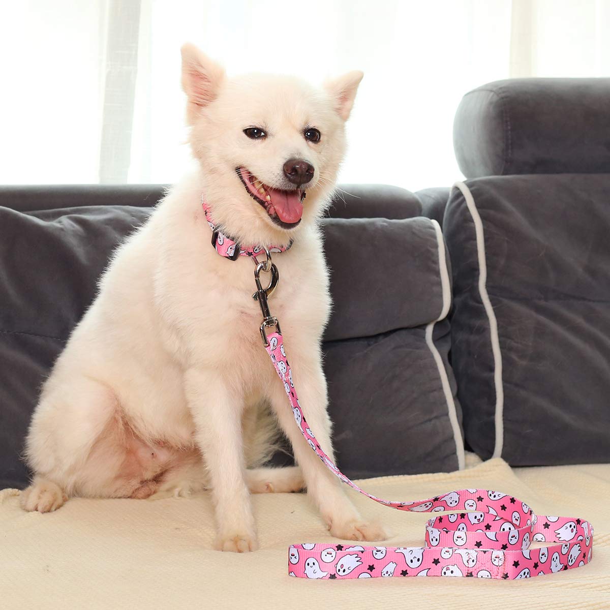 Impoosy 2-Piece Halloween Pet Collar and Ghost Leash Set - Adjustable Cute Dog Cat Collar for Small Medium Large Pets (X-Large, Pink) - Perfect for Halloween Costumes, Pet Parties & Spooky Photo Shoots