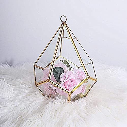 9 Inch Tall Clear Balsa Circle Geometric Glass Terrarium Vase with Gold Metal Trim - Perfect for Succulents, Air Plants & Home Decor