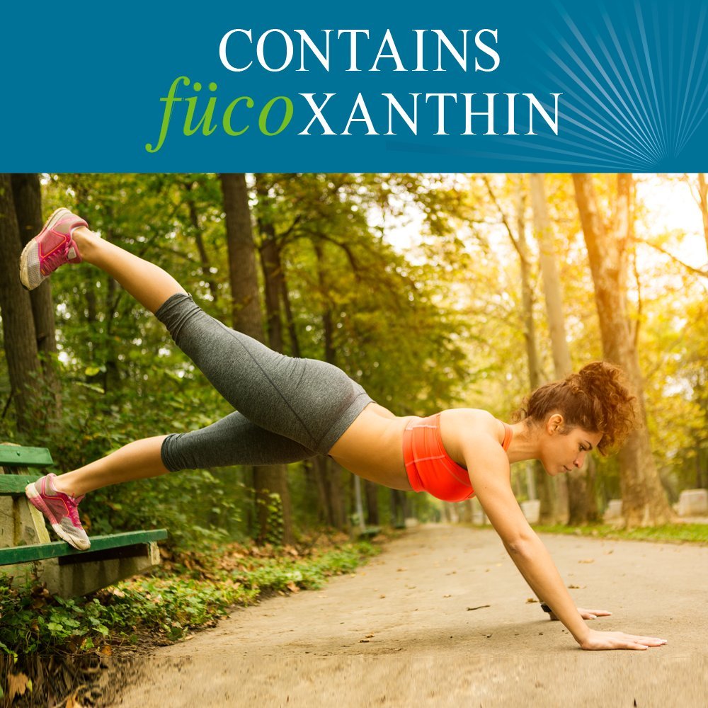 Garden of Life Fucoxanthin Weight Loss Supplement - FucoThin Diet Pills for Metabolism & Fat Burning, 180 Capsules - Supports Healthy Weight Management for Active Lifestyles