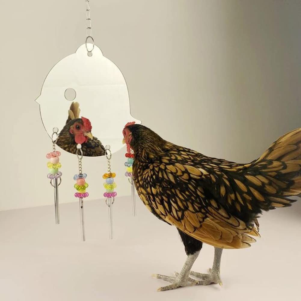 Ansu Bird Swing Toy with Mirror & Bells - Colorful Parrot Perch for Macaw, Cockatoo, Parakeet - Perfect for Cage Entertainment & Exercise