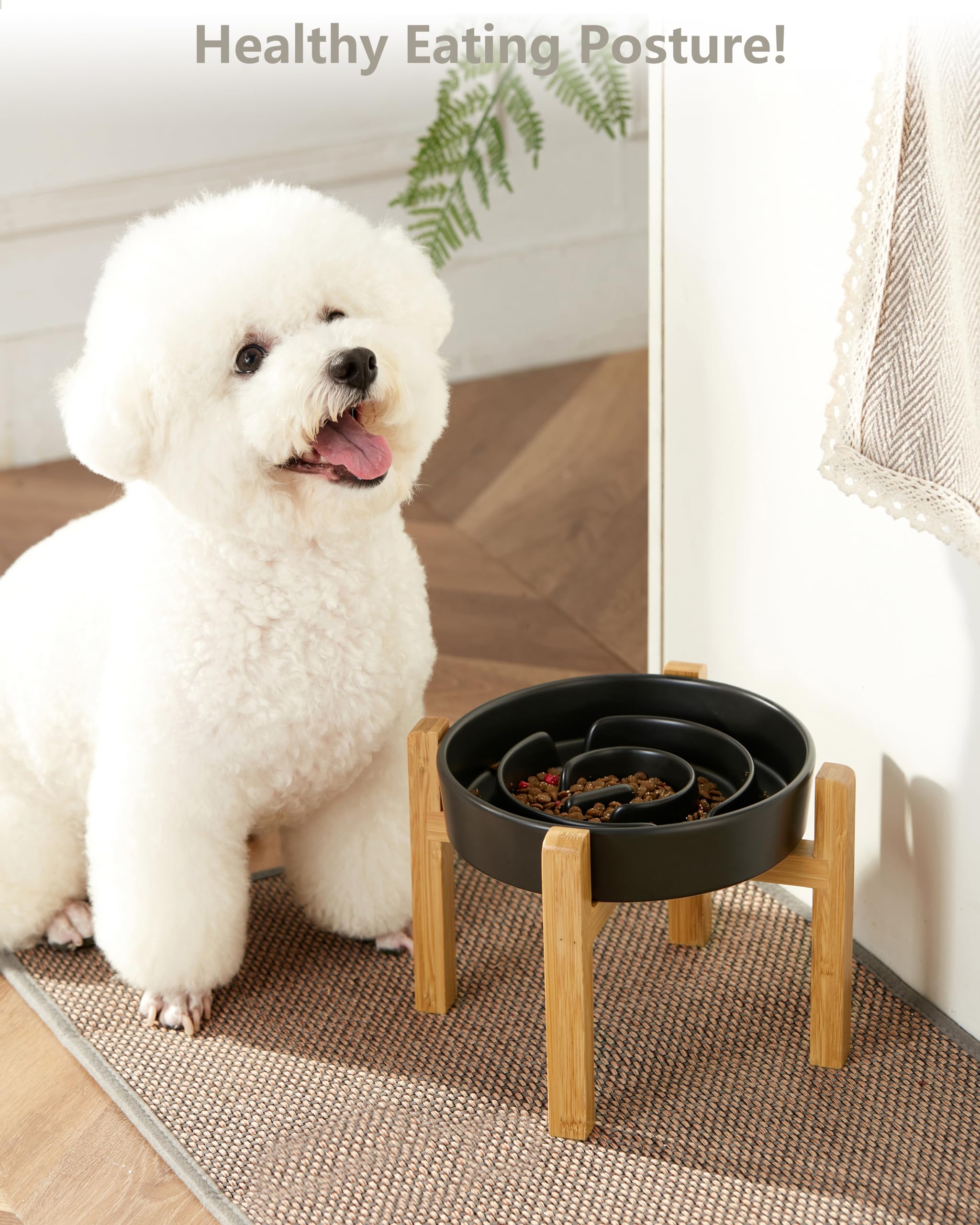 Ceramic Slow Feeder Dog Bowl - 2 Cup Elevated Puzzle Maze Bowl for Medium & Large Dogs - 30oz (8 Inch) Black - Helps Prevent Bloat & Improve Digestion - Perfect for Fast Eaters & Mealtime Enrichment