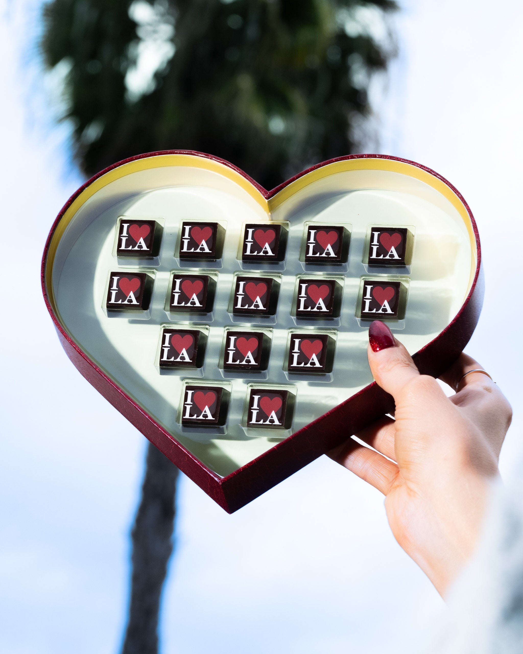 Valentine's Chocolate Heart Gift - Support Wildfire Relief | Romantic LA-Themed Treat for Couples, Anniversaries & Special Occasions